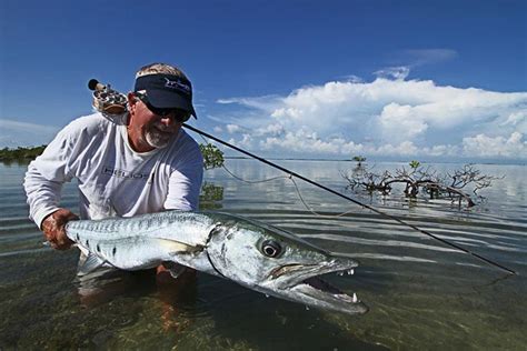 Fish Facts: Grand Barracuda (Sphyraena barracuda) - Xpert Fly Fisher