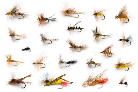 Pics Photos - Types Of Fly Fishing Lures Images