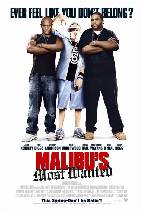 Tastedive | Movies like Malibu's Most Wanted