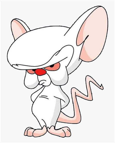 Pinky And The Brain Brain Png, Transparent Png - kindpng