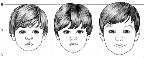 6.1.R1 Basic Facial Proportions: Infant to Adult - Drawspace