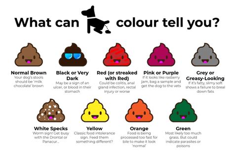 cat vomit color chart green cat meme stock pictures and photos - cat ...