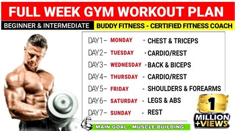 Full Week Gym Workout Plan For Muscle Gain | Beginners & Intermediate ...