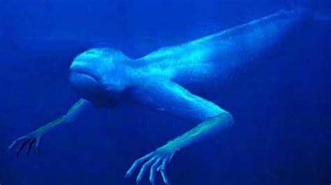 10 Amazing Sea Creatures You've Never Seen Before | Simply Amazing Stuff