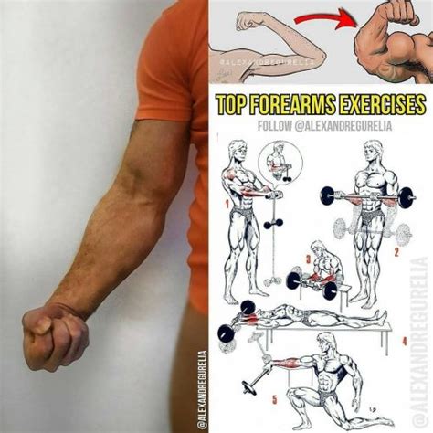 Top forearms exercises