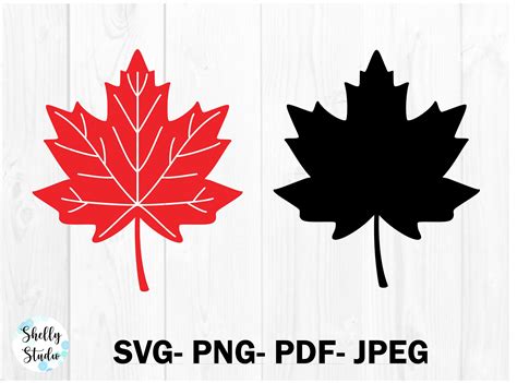 Fall Leaves Svg, Maple Eaf Svg, Maple Leaf Outline, Canadian Leaf Svg ...