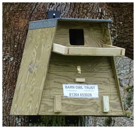 Barn Owl box for trees - Outdoor Nestbox direct from the Barn Owl Trust