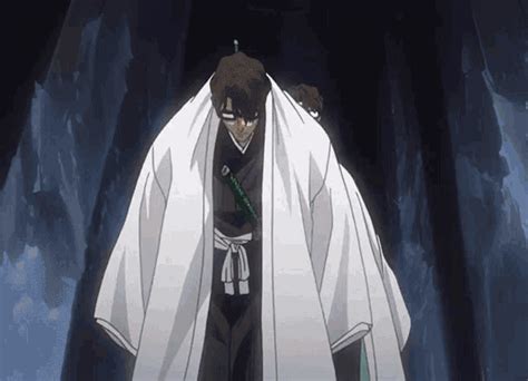 Bleach Aizen GIFs | Tenor