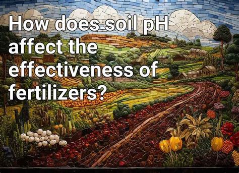 How does soil pH affect the effectiveness of fertilizers? – Agriculture ...