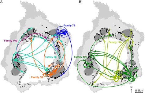 Philopatric events in the wild marine orange clownfish population of ...