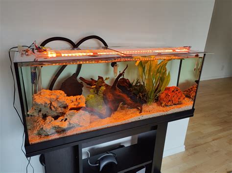 DIY Aquarium led light | Planet4