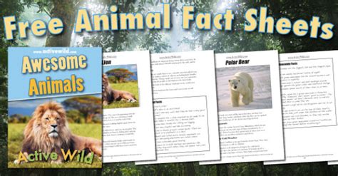 Free Awesome Animals Book For All Active Wild Readers