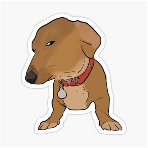 "Side eye dog dachshund meme" Sticker for Sale by Hanasroad | Redbubble