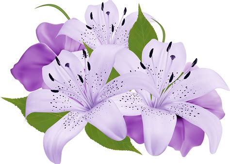 Purple Decorative Flowers PNG Clipart - Best WEB Clipart