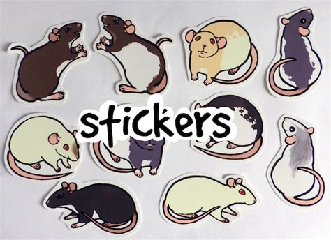 Cute Fancy Rat Stickers Pack of 8 Made to Order | Etsy