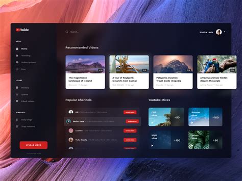 5 Tips For Creating A Great Desktop Application UI | Yuri Shwedoff