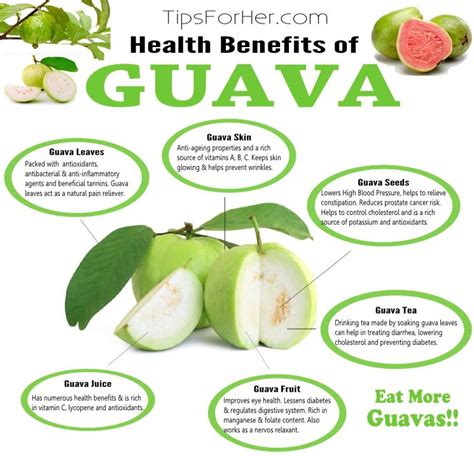 Health Benefits of Guava