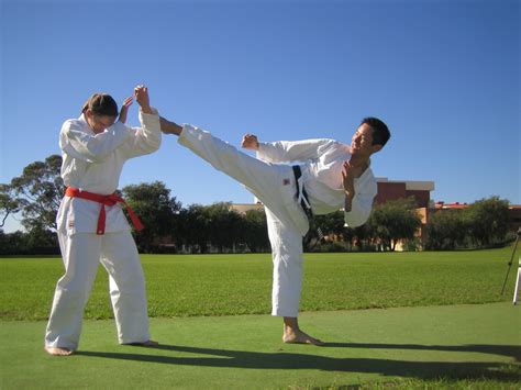 The roundhouse kick and traditional martial arts