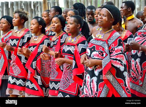 Traditional Swazi dancing display by the troupe at Mantenga Cultural ...