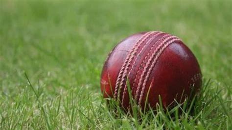 Why are different types of balls used in cricket?