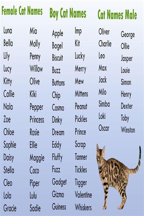 Cute Cat Names Unique