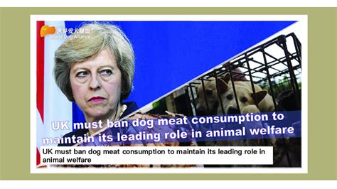 UK must ban dog meat consumption to maintain its leading role in animal ...