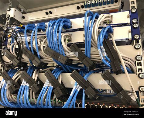 network cables connected to data center server Stock Photo - Alamy