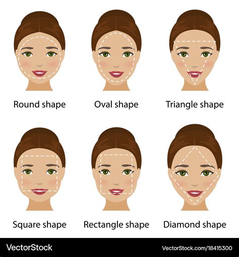 Woman face shapes Royalty Free Vector Image - VectorStock