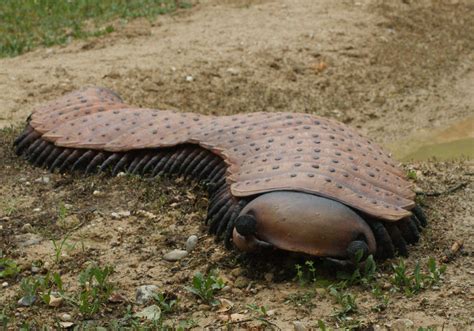 Giant Millipede Prehistoric