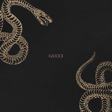 Gucci iPhone Wallpapers - Top Free Gucci iPhone Backgrounds ...