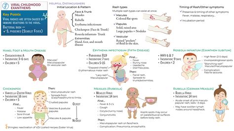 EDU - Module D: Viral Childhood Exanthems | ditki medical & biological ...