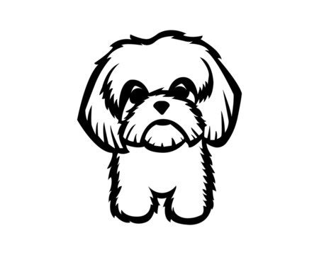 shih tzu face drawing - rosetattooswithribbons