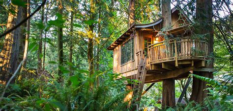 TreeHouse Point