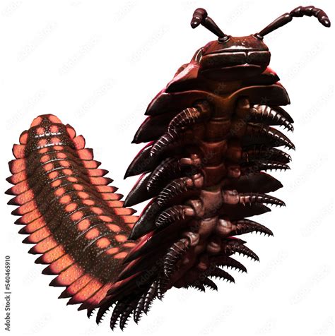 Arthropleura Giant prehistoric centipede 3D illustration Stock ...