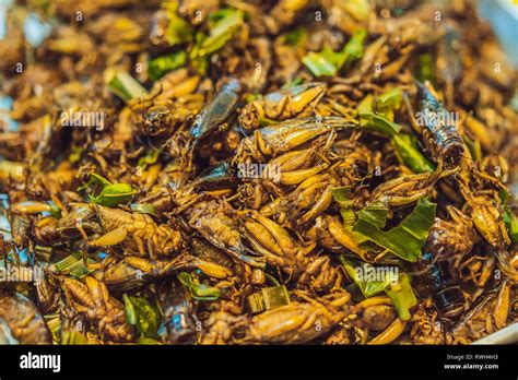 Fried insects hi-res stock photography and images - Alamy