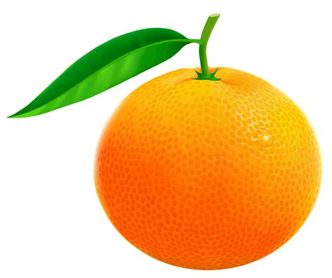 Orange Clipart - ClipArt Best