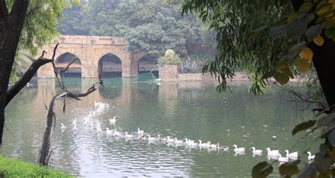 Lodhi Gardens Delhi - Timings, Entry Fee & Location - Delhi Tourism 2024