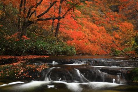 Hiking in Japan | All Japan Tours