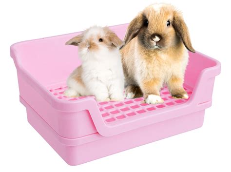 The Best Rabbit Litter Box | Bumbox