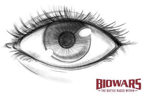 How To Draw An Eye Step By Step