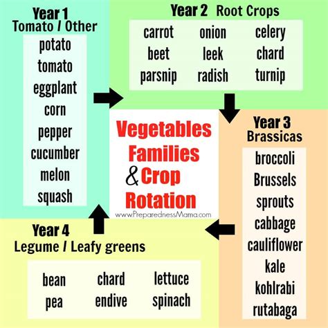 Crop Rotation Chart Printable - Printable Word Searches