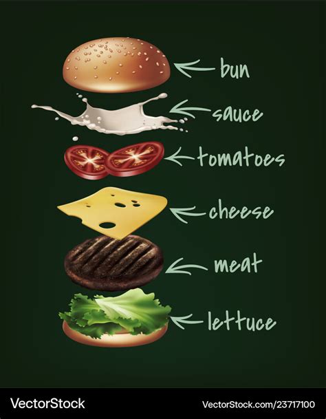 Burger ingredients Royalty Free Vector Image - VectorStock