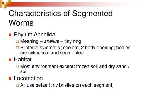 PPT - Mollusks and Segmented Worms PowerPoint Presentation - ID:664735