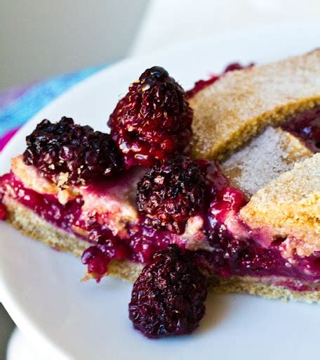 Fresh Blackberry Pie! It's Vegan, and Oh-So-Trendy. - HealthyHappyLife.com