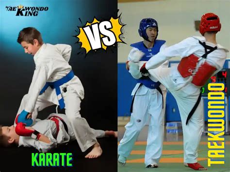 Taekwondo vs Karate - Taekwondo King