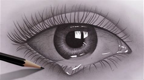 pencil Art Drawings Realistic Eye - myra-biol