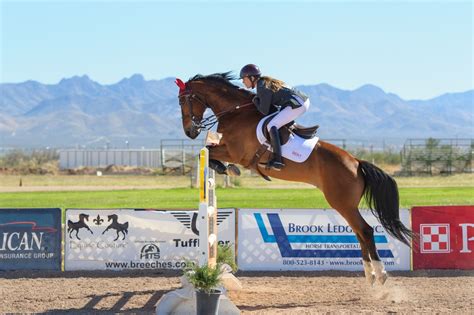 Mini Horses Jumping Really High