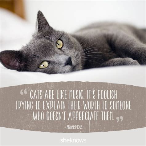 50 Cat Quotes That Only Feline Lovers Would Understand | Cat quotes ...