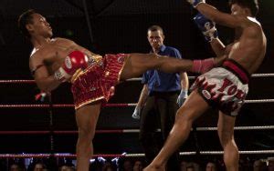 Muay Thai Front Kick | MMA Active