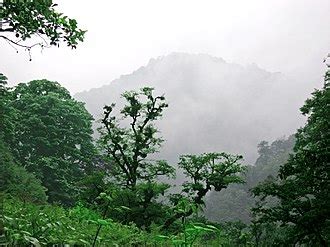 Hyrcanian forests - Wikipedia